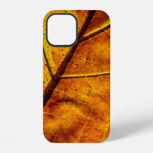 Funda Para iPhone 12 Leaf leaf veins fall texture