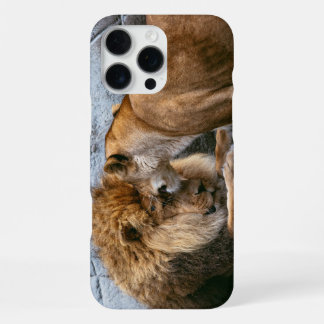 Funda Para iPhone 16 Pro Max León