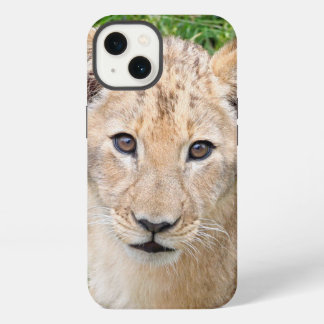 León 016