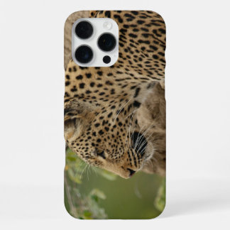 Funda Para iPhone 16 Pro Max Leopardo 