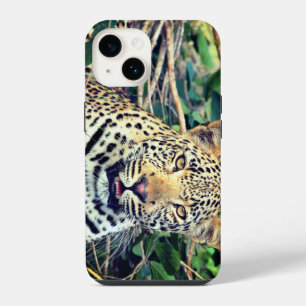 Funda Para iPhone 14 Leopardo, animal