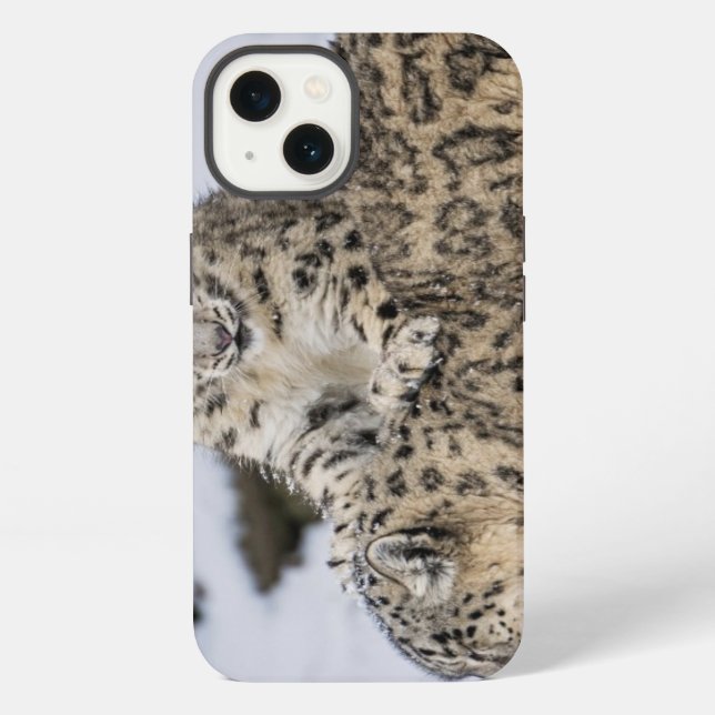 Funda Para iPhone Leopardos de las nieves: (Reverso )