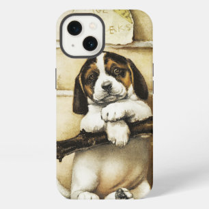 Lindo cachorro