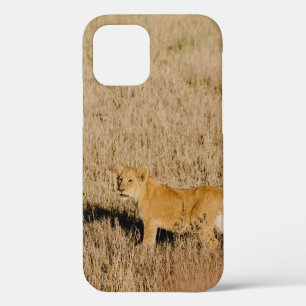 FUNDA PARA iPhone 12 LION CUB ESPERANDO A SU MADRE
