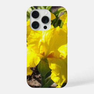 Lirio Amarillo Brillante,