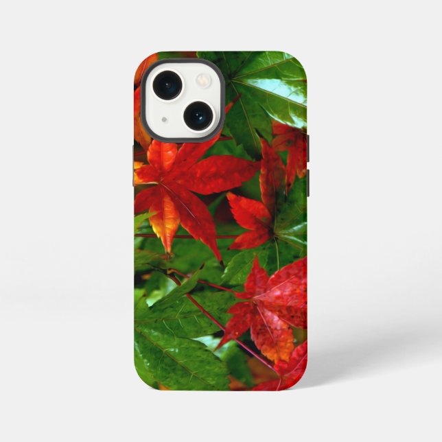 Funda Para iPhone Lluvia de Otoño (Reverso )