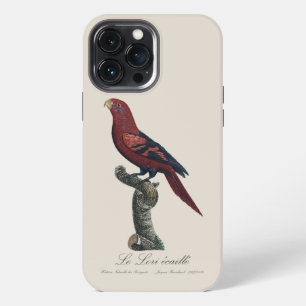 Funda Para iPhone 13 Pro Max Lori de rabadilla azul, Trichoglossus reticulatus