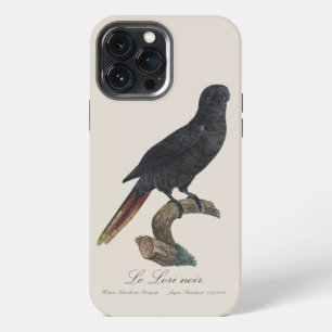 Funda Para iPhone 13 Pro Max Lori negro o Lori de plumas rojas, Chalcopsitta at