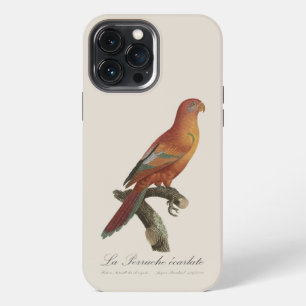 Funda Para iPhone 13 Pro Max Lori rojo o Eos Bornea, Trichoglossus borneus