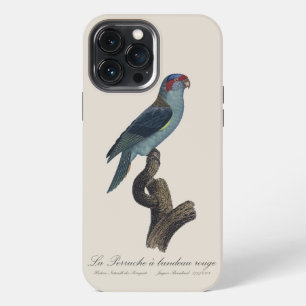 Funda Para iPhone 13 Pro Max Loríquet de Musk, Trichoglossus concinnus