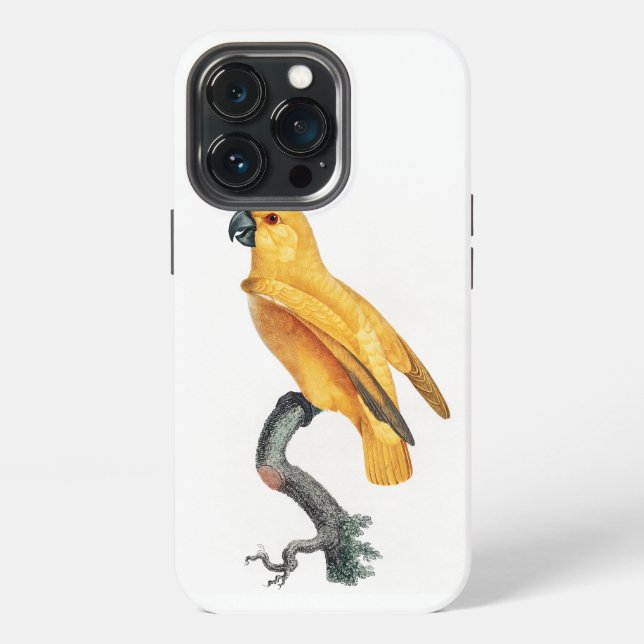 Funda Para iPhone Loro del Senegal (Reverso )