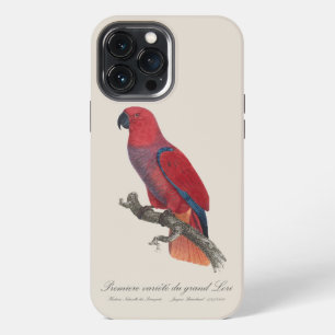 Funda Para iPhone 13 Pro Max Loro Eclecto de Vosmaer, Eclectus Roratus Vosmaeri