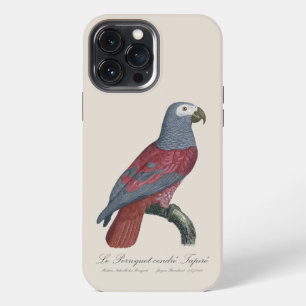 Funda Para iPhone 13 Pro Max Loro Gris Africano Factor Rojo Psittacus Erithacus