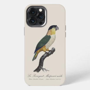 Funda Para iPhone 13 Pro Max Loro Macho de Cabeza Negra, Pionites Melanocephalu