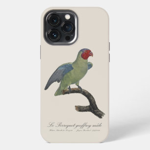 Funda Para iPhone 13 Pro Max Loro mejirrojo macho, Geoffroyus geoffroyi