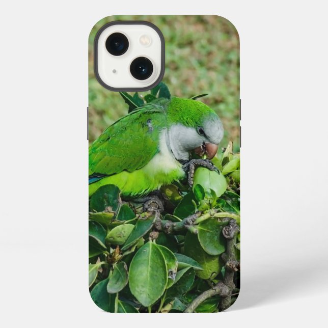 Funda Para iPhone Loro verde (Reverso )