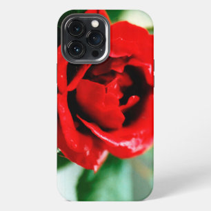 Funda Para iPhone 13 Pro Max Magnífica rosa roja con rocío matutino