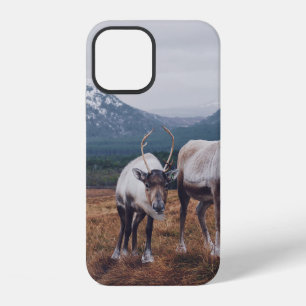 FUNDA PARA iPhone 12 MANADA DE ANIMALES MARRONES Y NEGROS EN CAMPO DE H
