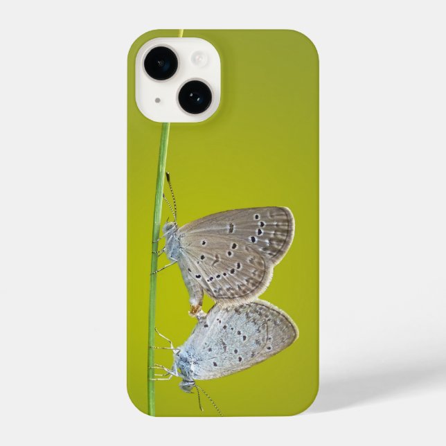 Funda Para iPhone mariposa, insecto, par (Reverso )