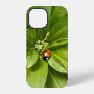 Funda Para iPhone 12 Mariquita en Flores