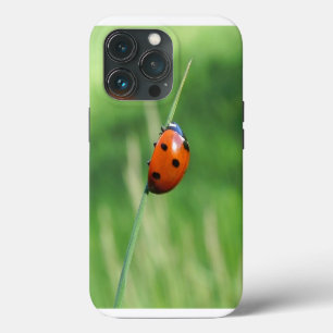 Funda Para iPhone 13 Pro Mariquita en una hoja de hierba
