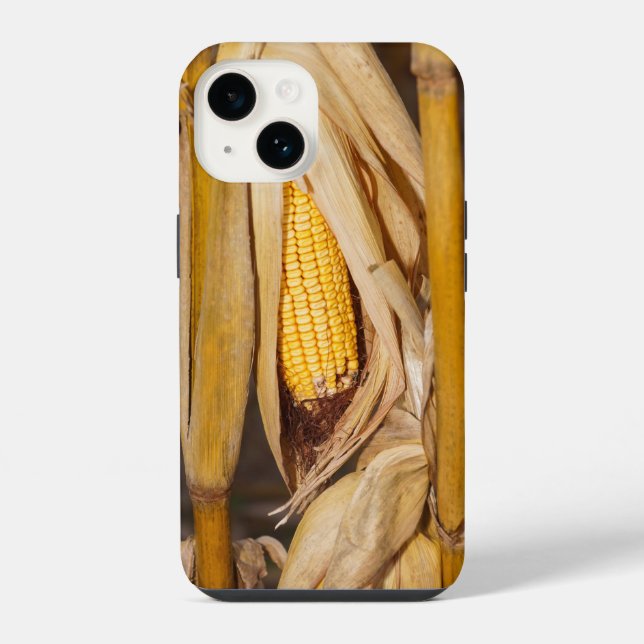 Funda Para iPhone Mazorca de maíz en tallo (Reverso )