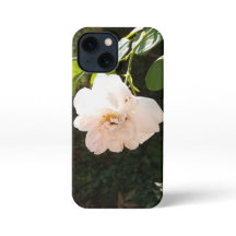 Mini Fundas de IPhone 13