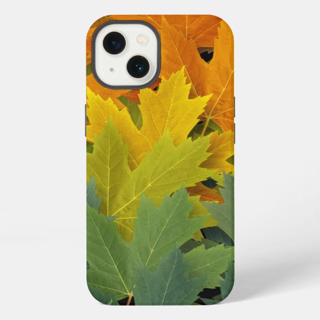 Funda Para iPhone Modelo 2 del otoño (Reverso )