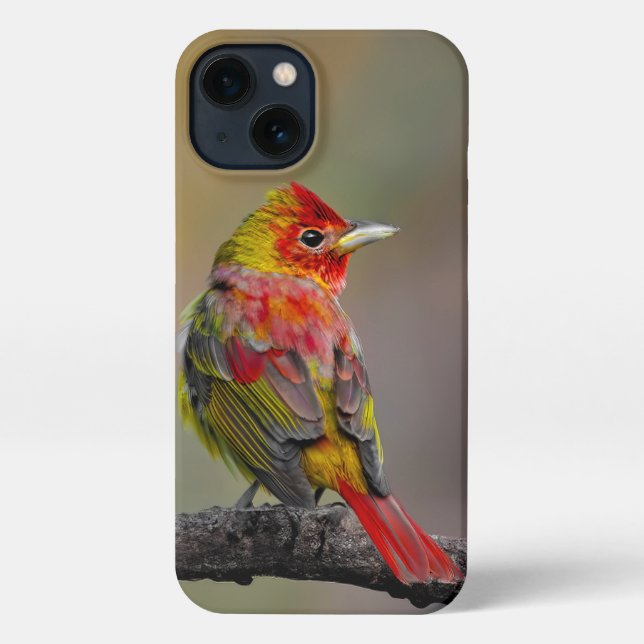 Funda Para iPhone Moldura de Tanager de escarlata - Fotografía origi (Reverso )