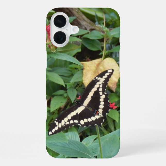 Funda Para iPhone Monarca y flores amarillas en Florida (Reverso )