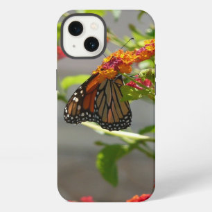 Monarch Butterfly on Red Butterfly Bush