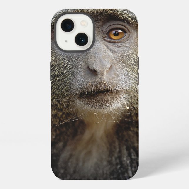 Funda Para iPhone Mono de Sykes o mono azul, Cercopithecus mitis, (Reverso )
