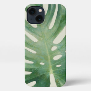 Monstera Leaf