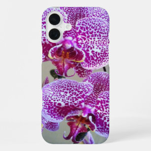 Funda Para iPhone 16 Plus Orquídea Morada Abigarrada Fotografía de Cerca