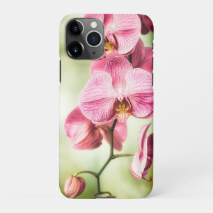 Funda Para iPhone 11Pro Orquídea Rosa