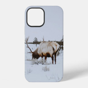 FUNDA PARA iPhone 12 PAISAJE DE INVIERNO CON CERVEZA