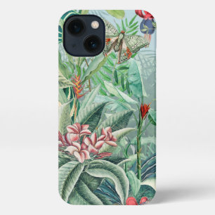 Paraíso tropical