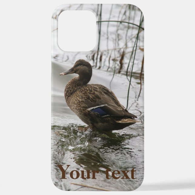 Funda Para iPhone Pato gris en la oscuridad del lago (Reverso )