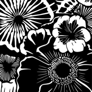 Patrón Floral Blanco Negro Estética Botánica Audaz