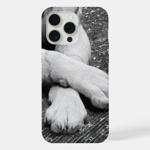 Paws