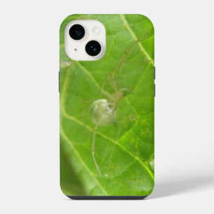 Funda Para iPhone 14 Pequeña Araña
