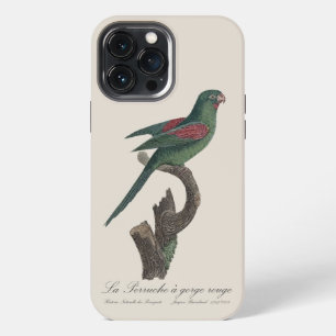 Funda Para iPhone 13 Pro Max Perico Catrín, Brotogeris jugularis