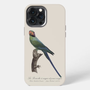 Funda Para iPhone 13 Pro Max Perico Colilargo, Psittacula Longicauda