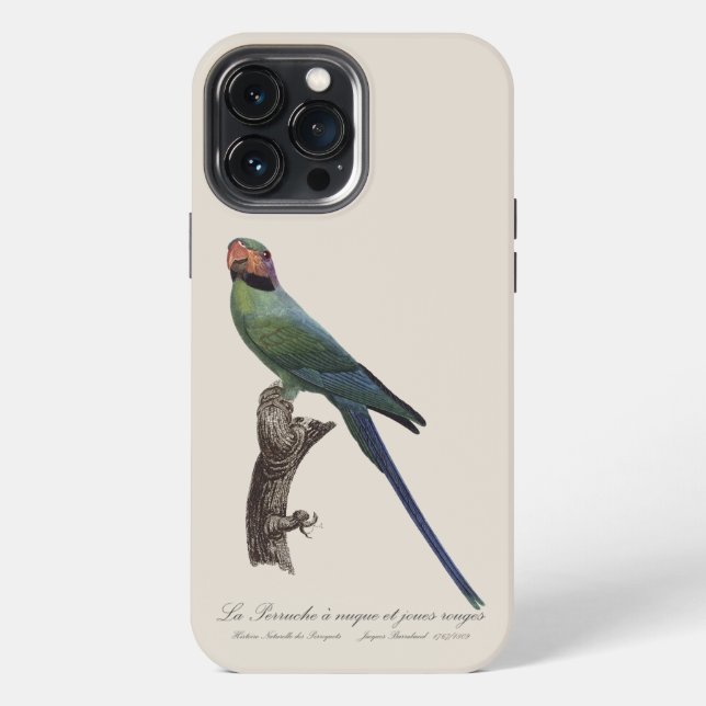 Funda Para iPhone Perico Colilargo, Psittacula Longicauda (Reverso )