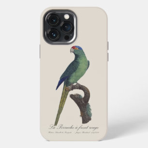 Funda Para iPhone 13 Pro Max Perico Frentianaranjado, Eupsittula Canicularis