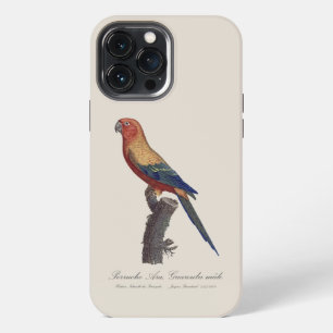 Funda Para iPhone 13 Pro Max Perico Sol, Aratinga Solstitialis