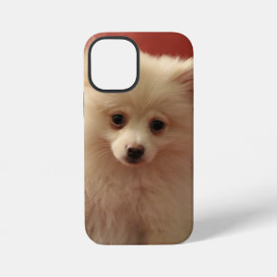 Funda Para iPhone 12 Mini Perro de Cute Pomerania