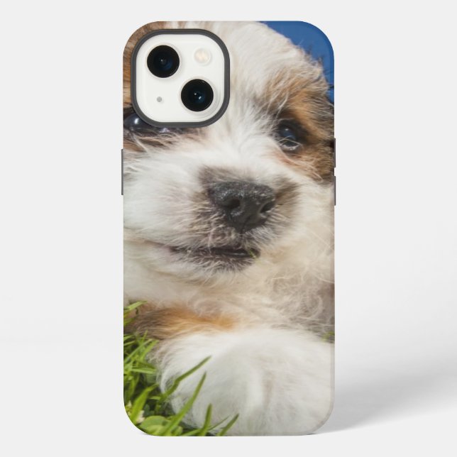 Funda Para iPhone Perro de perrito lindo (Shitzu) (Reverso )