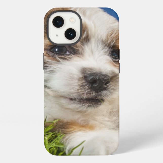 Funda Para iPhone Perro de perrito lindo (Shitzu) (Reverso )