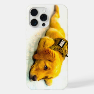 PERRO DE SERVICIO MILITAR DE EE. UU.